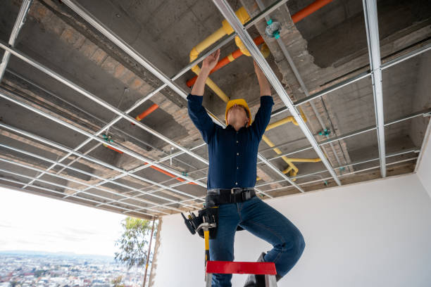 Best Plumbing Inspection Services  in Cadott, WI