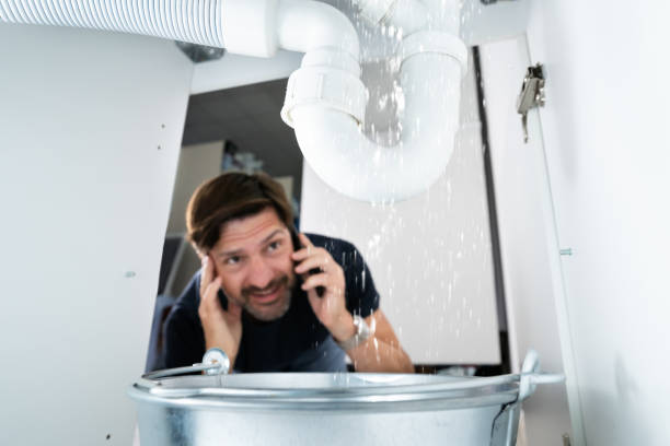 Sprinkler Systems in Cadott, WI